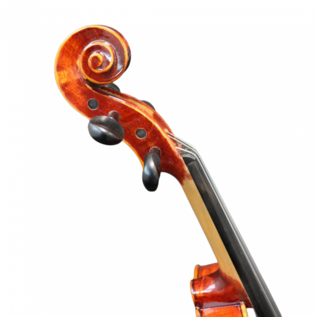 Alto Alcalya Qualité C - Ensemble complet