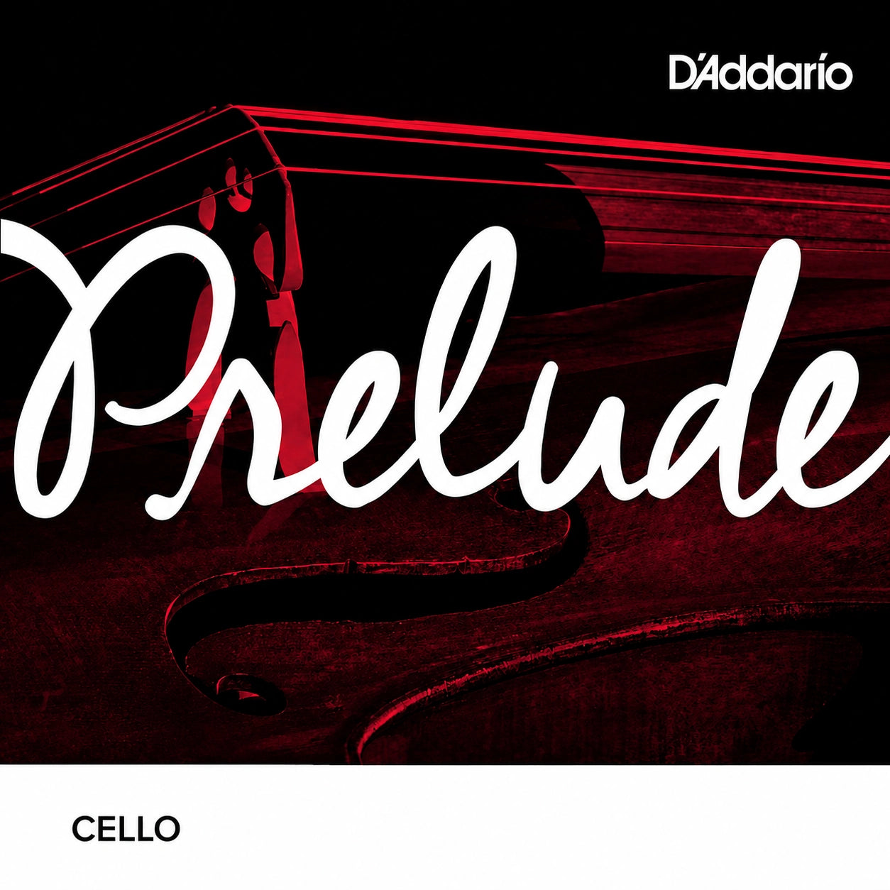 Corde de Do Violoncelle D'Addario Prelude