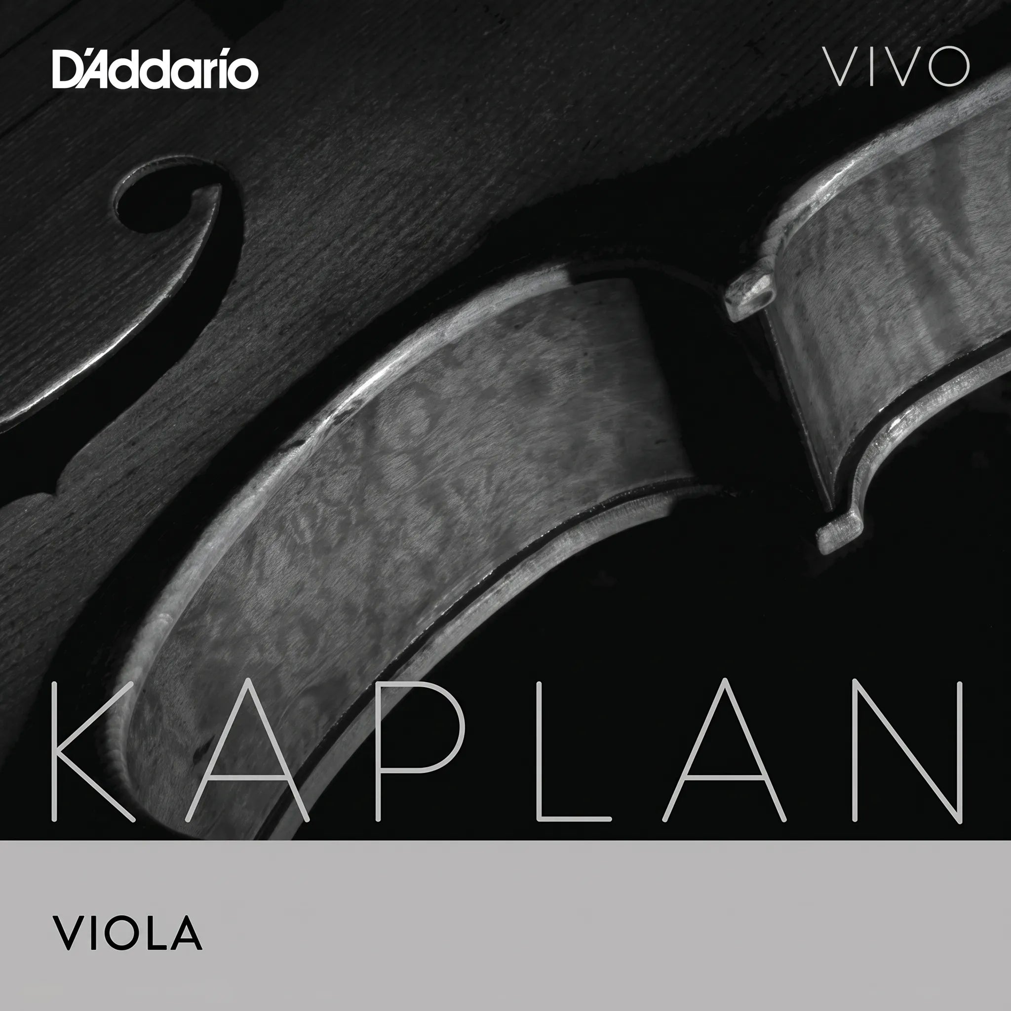 Corde de Do Alto D'Addario Kaplan Vivo