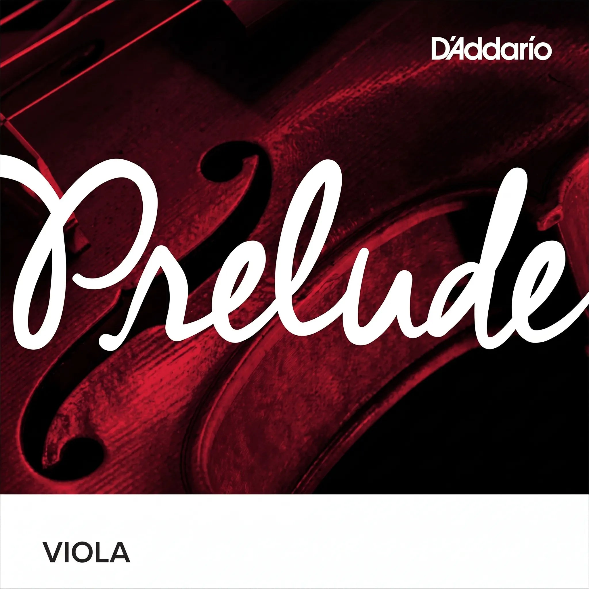 Corde de Do Alto D'Addario Prelude