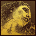 Jeu de cordes Violon 4/4 Pirastro Evah Pirazzi Gold - Mi Boucle, Sol Argent (4155)