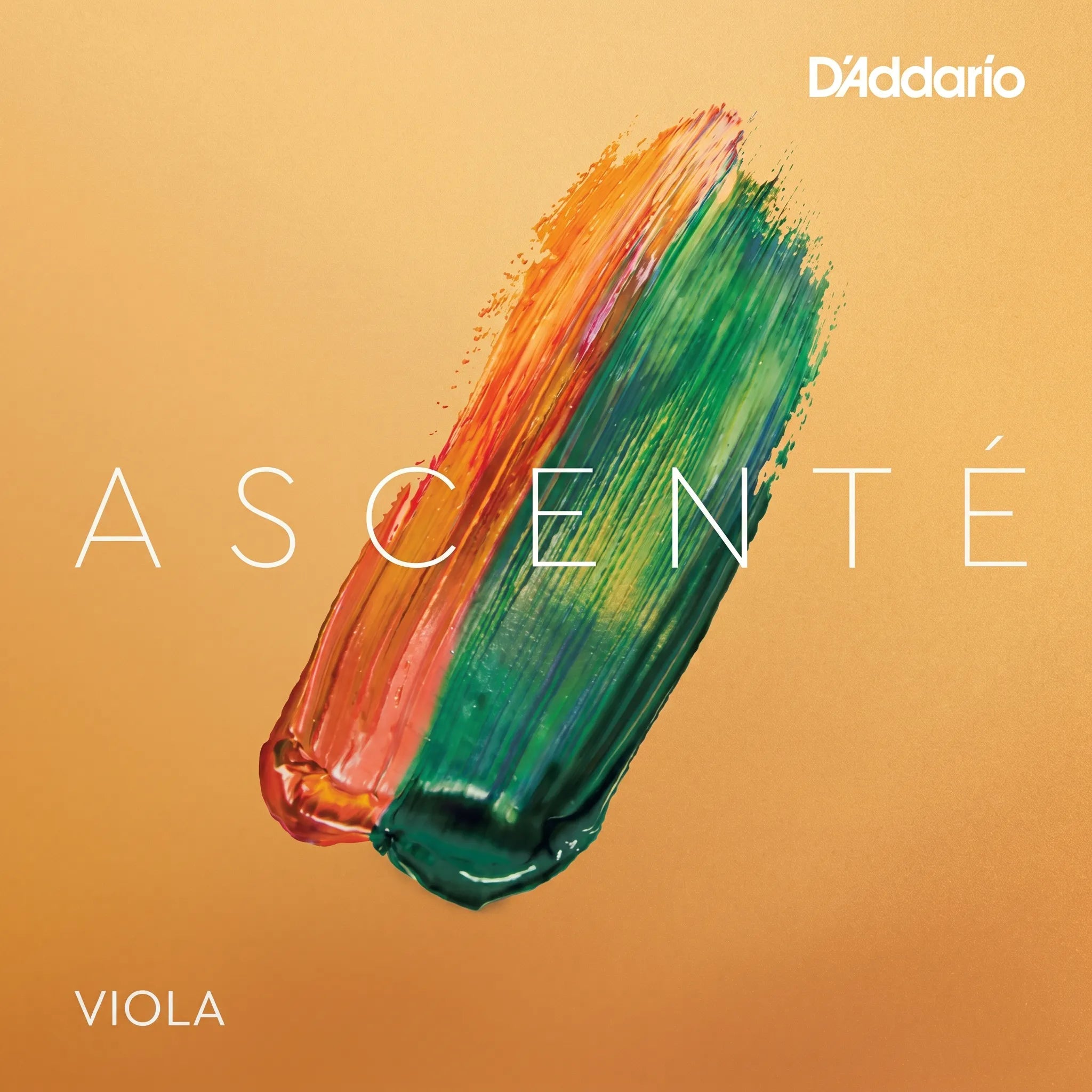 Corde de La Alto D'Addario Ascenté