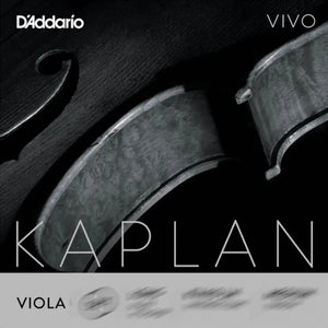 Kaplan Vivo