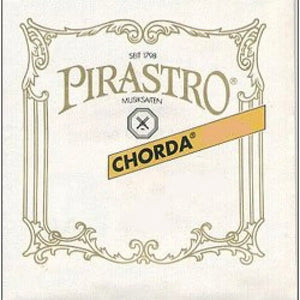 Chorda